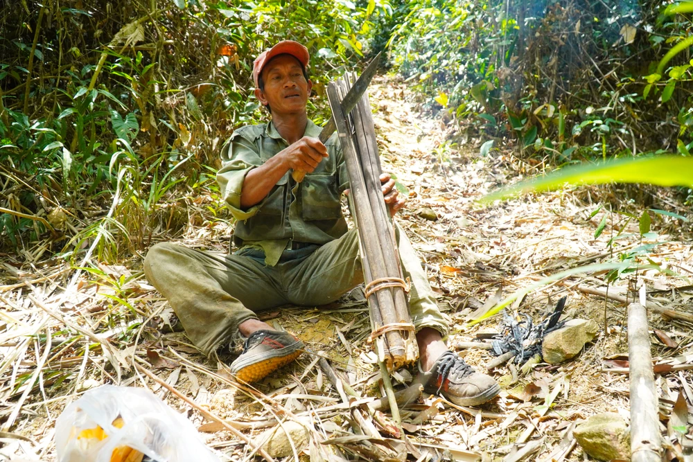 bắt ong khoái (13).jpg