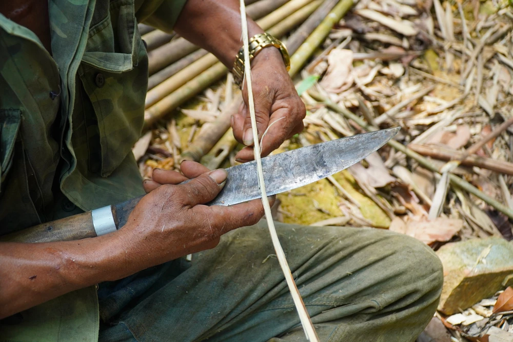 bắt ong khoái (3).jpg