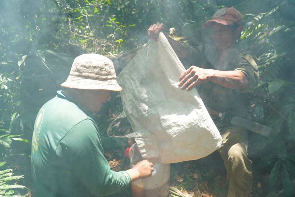 bắt ong khoái (6).jpg