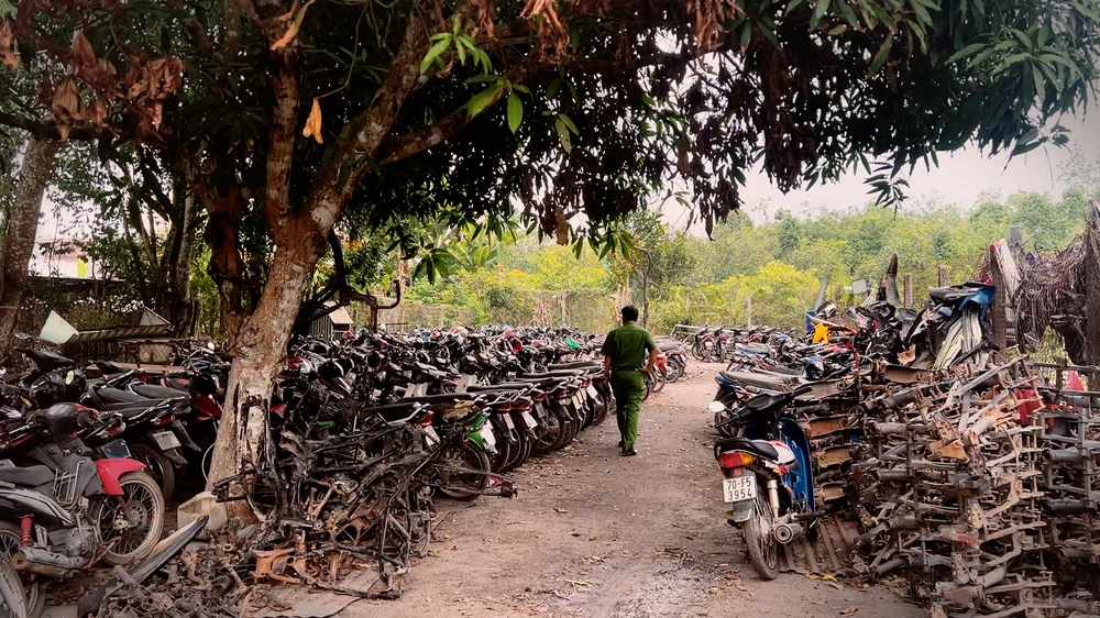 xe máy không giấy-4.jpg