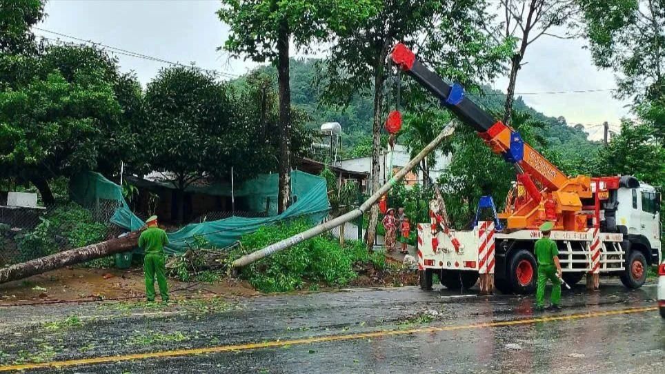 Quốc lộ 20 (1).jpg