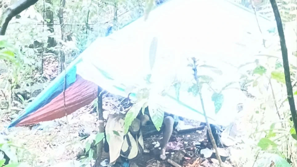 người đàn ông.jpg