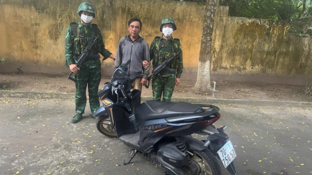 biển số giả.jpg