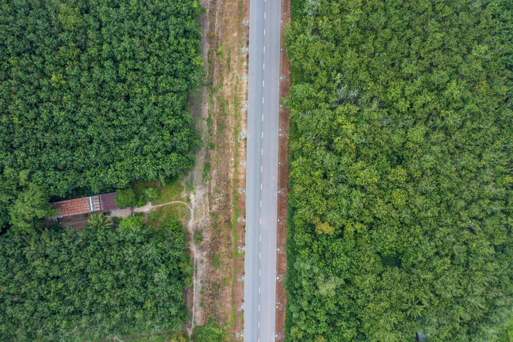 đường hồ chí minh-19.jpg