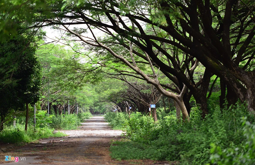 Biet thu, nha pho 'bi bo quen' o do thi cach Sai Gon 20 km hinh anh 18