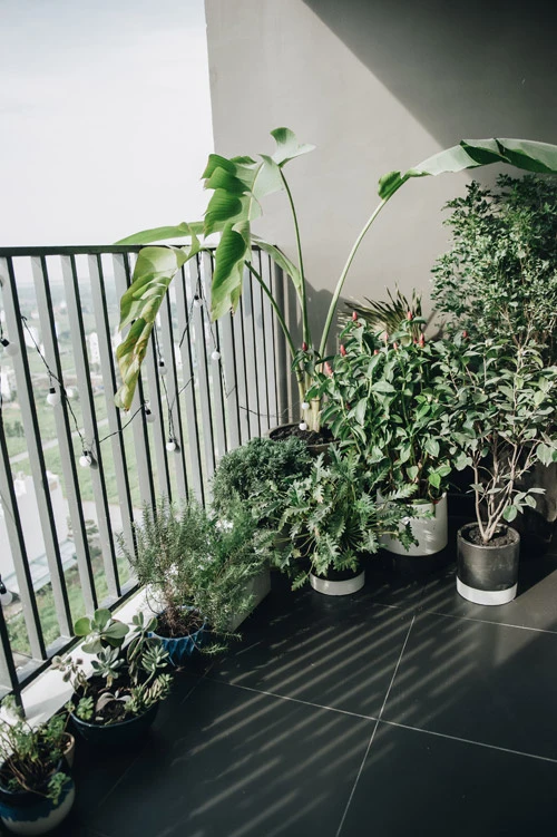 Căn hộ Sài Gòn tông màu khác lạ được chủ nhà chọn từng viên gạch