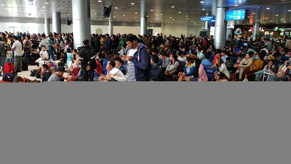 Canh dong duc o san bay Tan Son Nhat ngay cuoi nam hinh anh 14