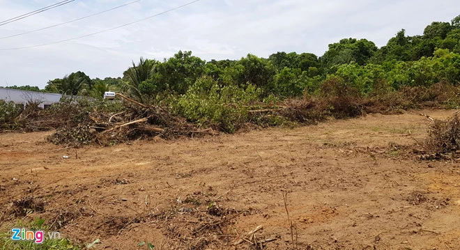Pho thu tuong chi dao thanh tra dat nong nghiep o Phu Quoc hinh anh 3