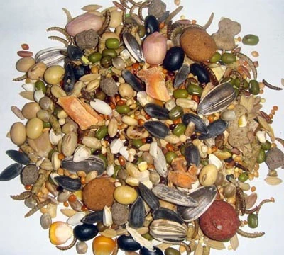 Những thực phẩm có chất gây dị ứng ảnh 6