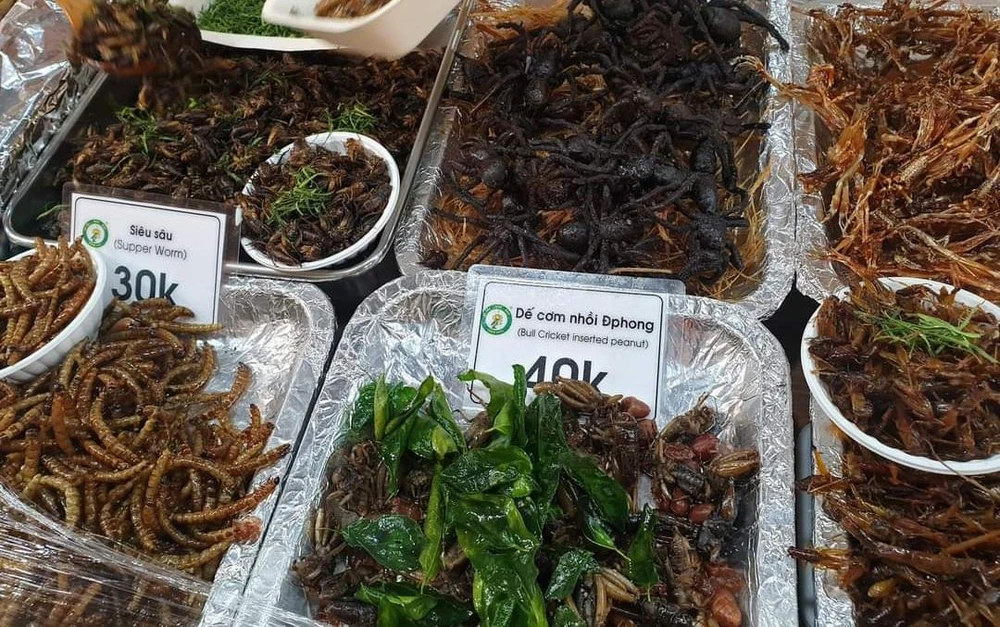 Nên thận trọng khi chọn côn trùng làm thức ăn. Ảnh: NV