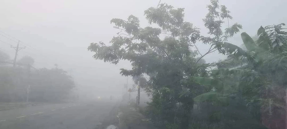 Sương mù dày đặc trên một đoạn đường ở huyện Bến Lức, Long An lúc khoảng 6 giờ 30 phút sáng 22-7. Ảnh: LVH