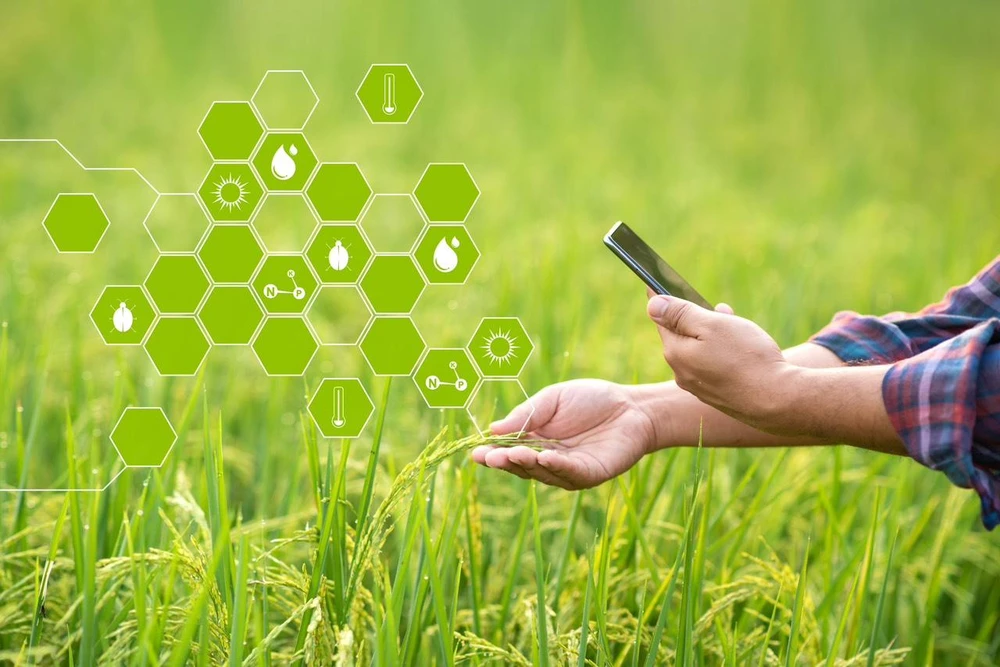 Điện toán đám mây - cơ hội phát triển của nông nghiệp số ảnh 1 Điện toán đám mây - cơ hội phát triển của nông nghiệp số ảnh 1