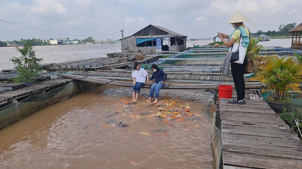 Làng cá bè ở Cồn Sơn thu hút khách du lịch. Làng cá bè ở Cồn Sơn thu hút khách du lịch.