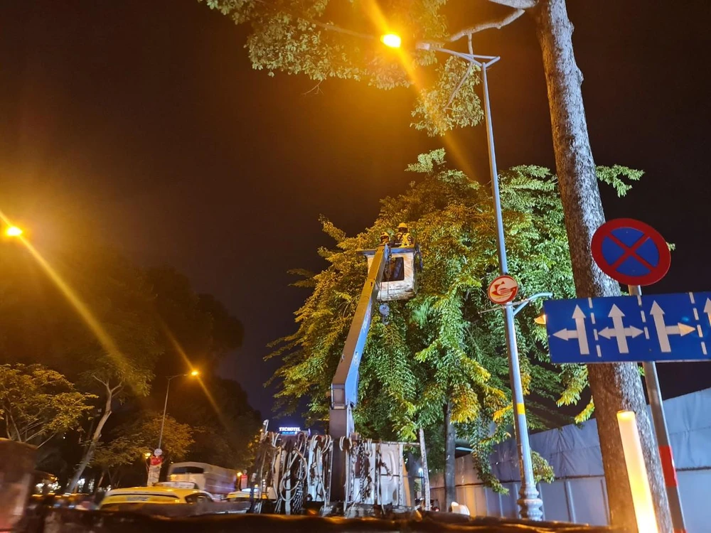 Cắt tỉa cây xanh tại đường Trần Quốc Hoàn, quận Tân Bình.