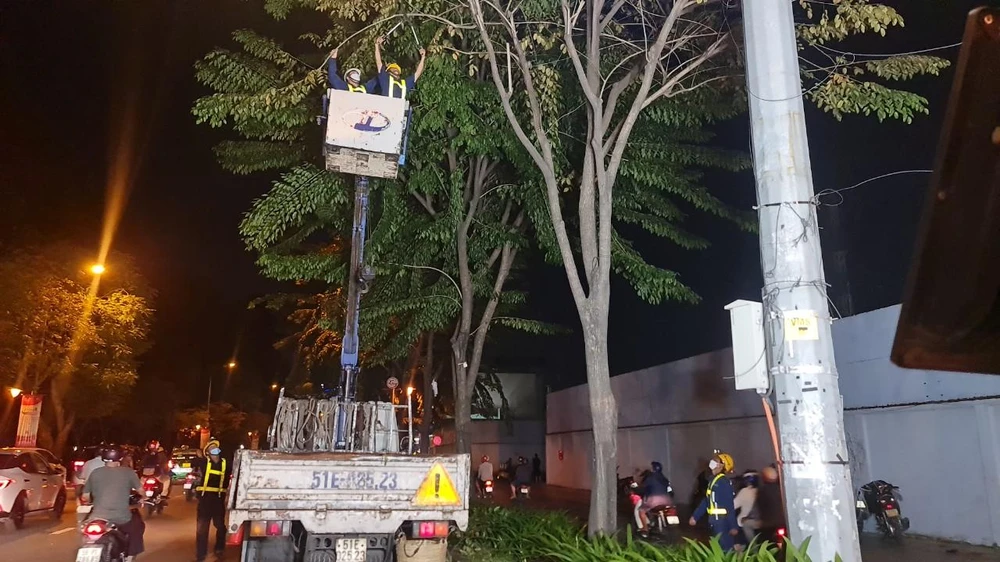 Thực hiện cắt tỉa những cây xanh dễ làm vào ban đêm.