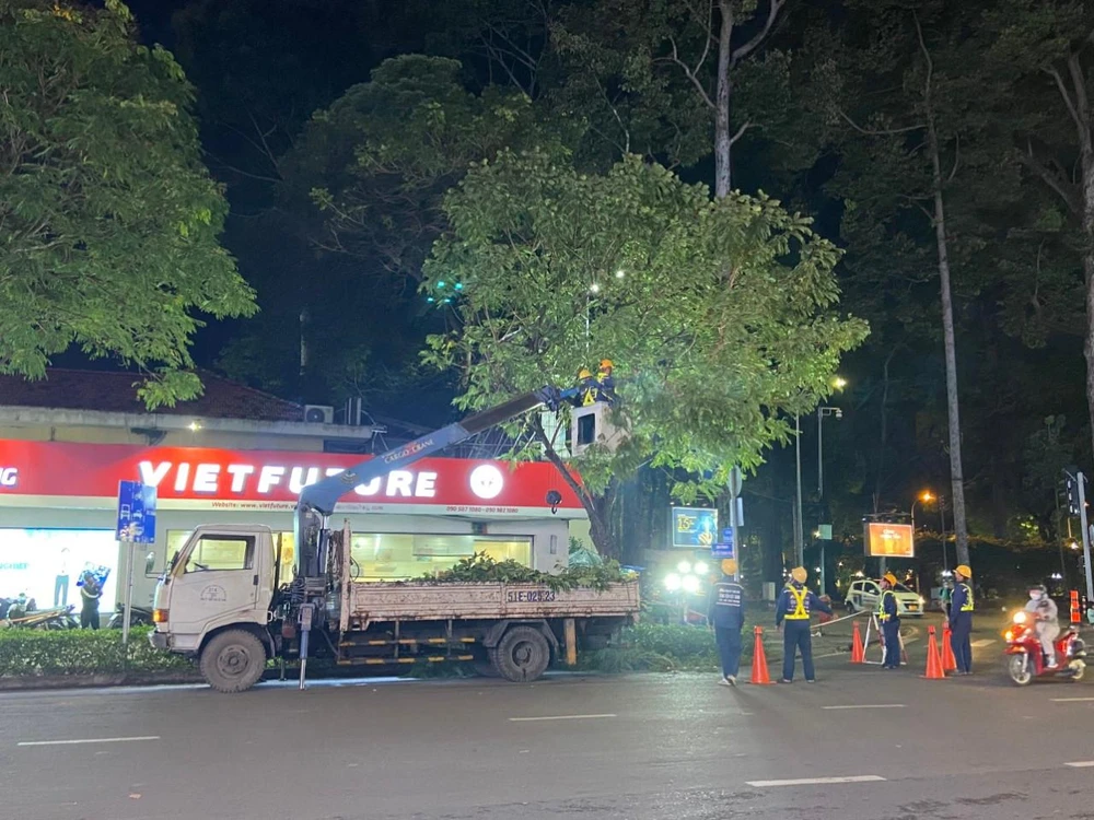 Cắt tỉa cây xanh tại đường Nguyễn Thị Minh Khai, quận 1.