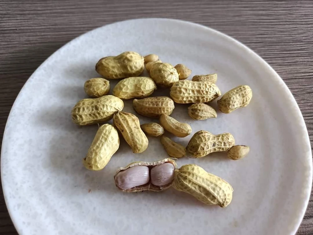 Đậu phộng là nguồn cung cấp protein dồi dào