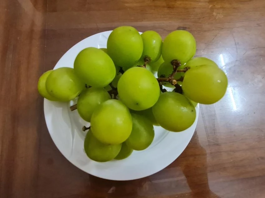 Tiêu thụ nho giúp giảm viêm gan. Ảnh: NGUYÊN VÕ