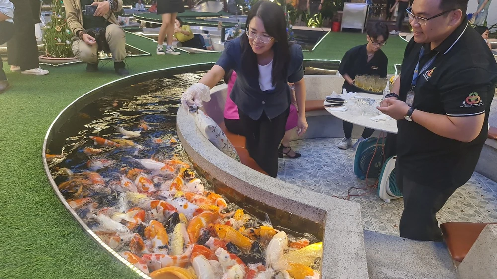 Các đại biểu tham quan cà phê cá Koi