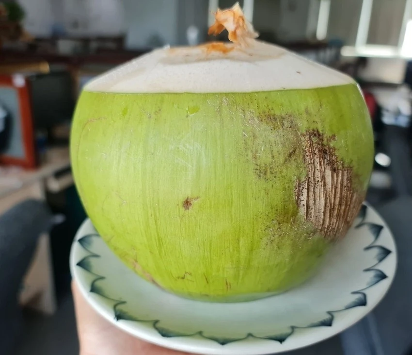 Nước dừa giúp bổ sung chất điện giải cho cơ thể. Ảnh: NGUYÊN VÕ