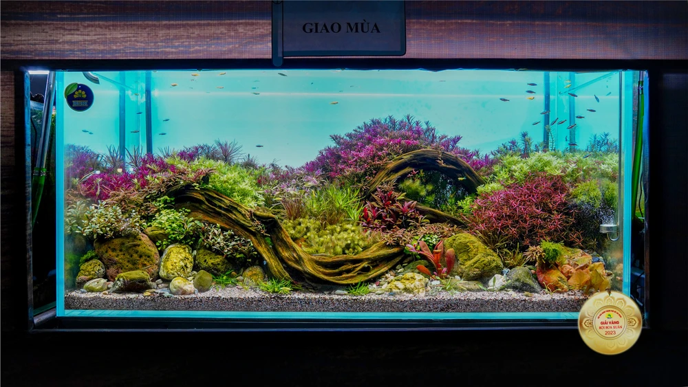 Chiêm ngưỡng những tác phẩm đặc sắc ở hội hoa xuân 2023 tại TP.HCM ảnh 3 Chiêm ngưỡng những tác phẩm đặc sắc ở hội hoa xuân 2023 tại TP.HCM ảnh 3