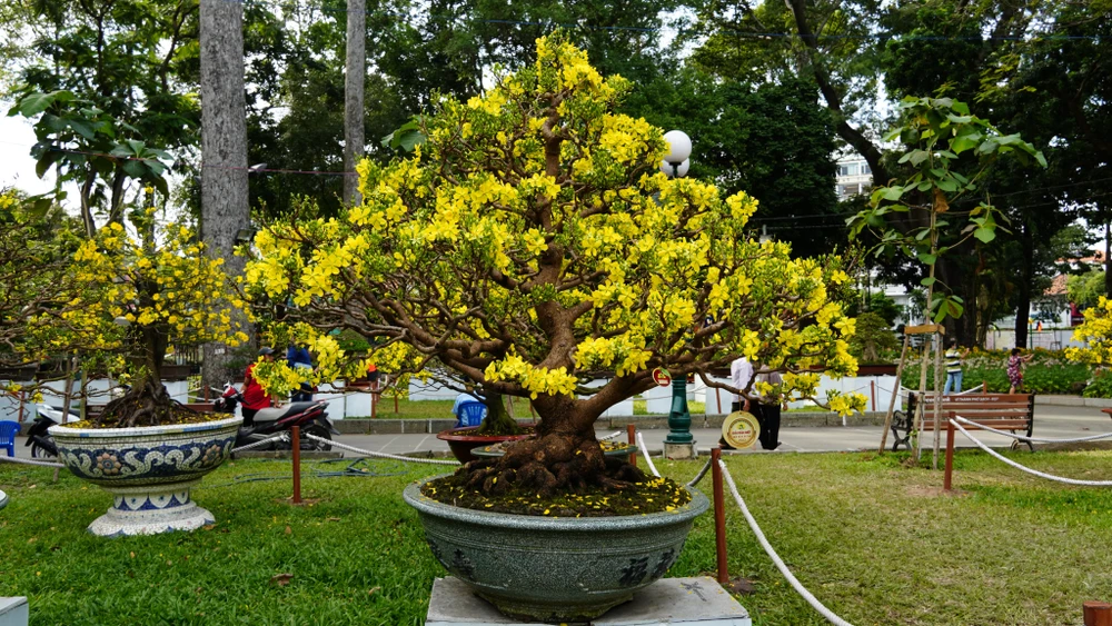 Một trong những tác phẩm đoạt giải đặc biệt tại hội hoa xuân ở TP.HCM Một trong những tác phẩm đoạt giải đặc biệt tại hội hoa xuân ở TP.HCM