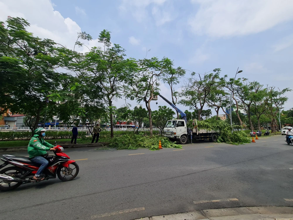 Chăm sóc, cắt tỉa cây xanh ở TP.HCM. Ảnh: NC