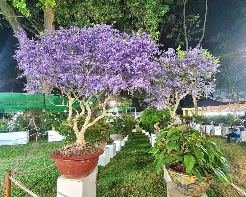 khai mac hoi hoa xuan 2.jpg