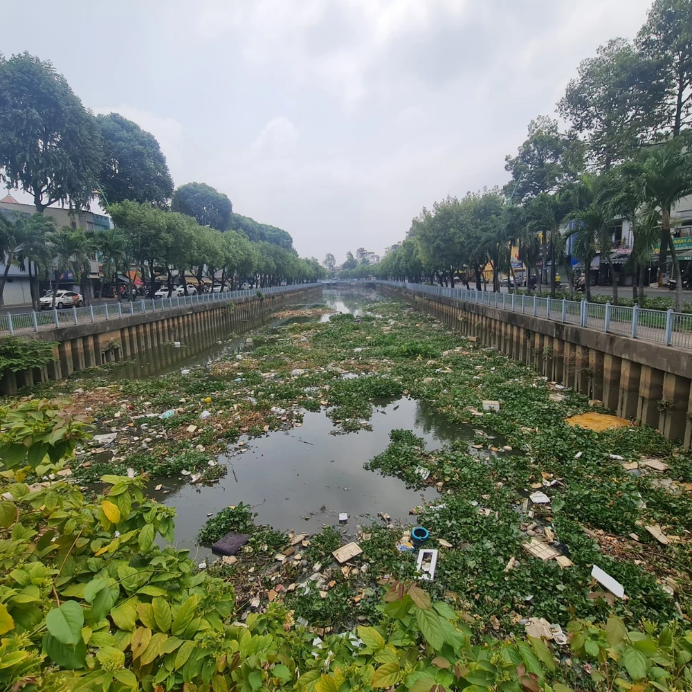 rac kenh nhieu loc thi nghe-hinh 2.jpg