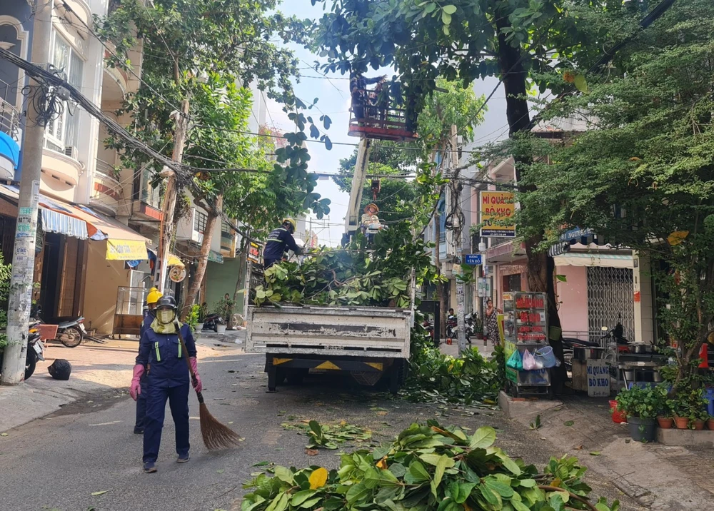 Số lượng 'khủng' cây xanh mà TP.HCM phải bổ sung là bao nhiêu?