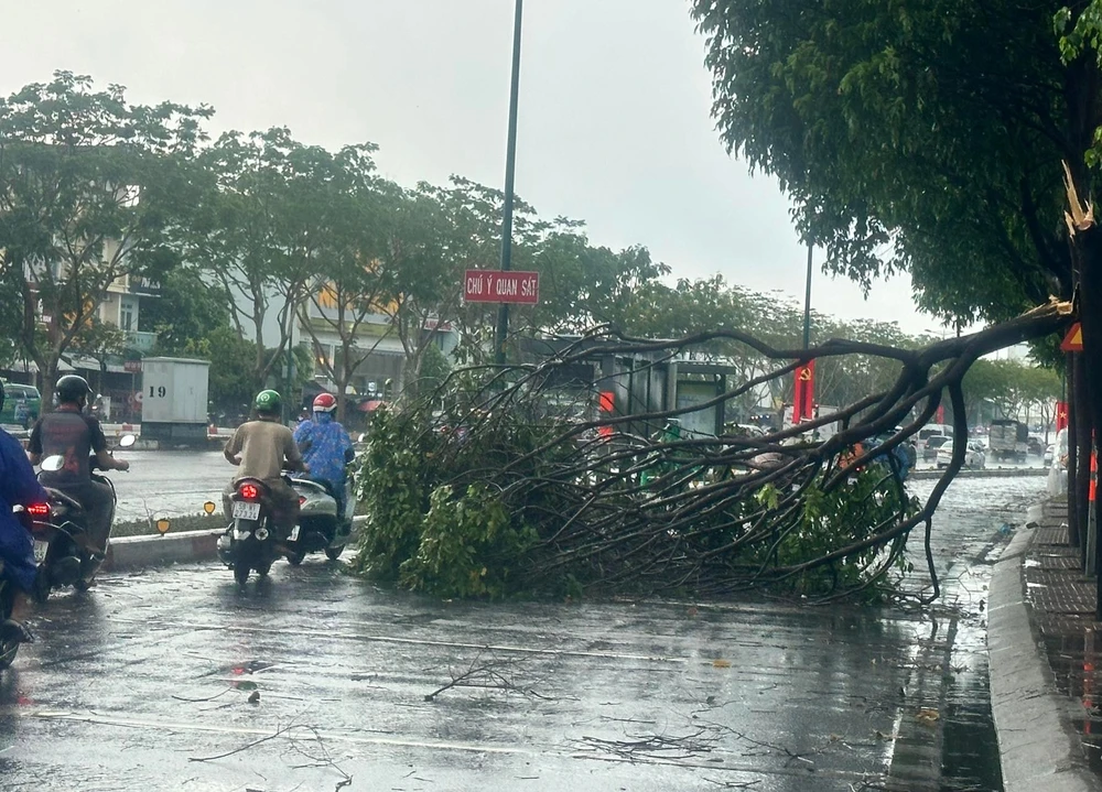 mua TP Thủ Duc pham van dong.jpg