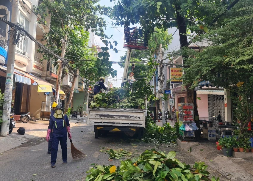 Liên quan công ty Cây xanh Công Minh: TP.HCM sẽ cung cấp cho Bộ Công an tài liệu các dự án trồng cây xanh