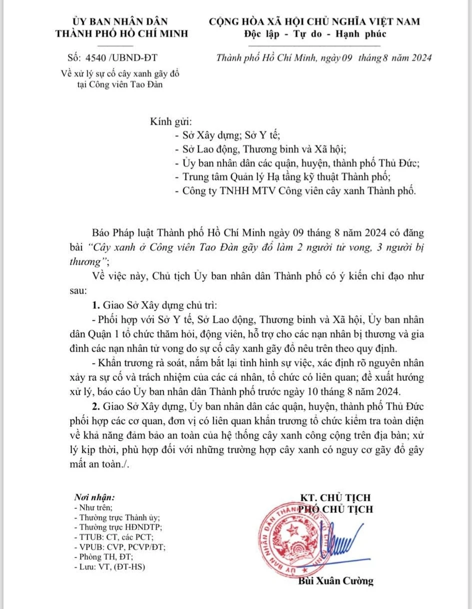 ngã cây xanh ở công viên tao đàn 2.jpg