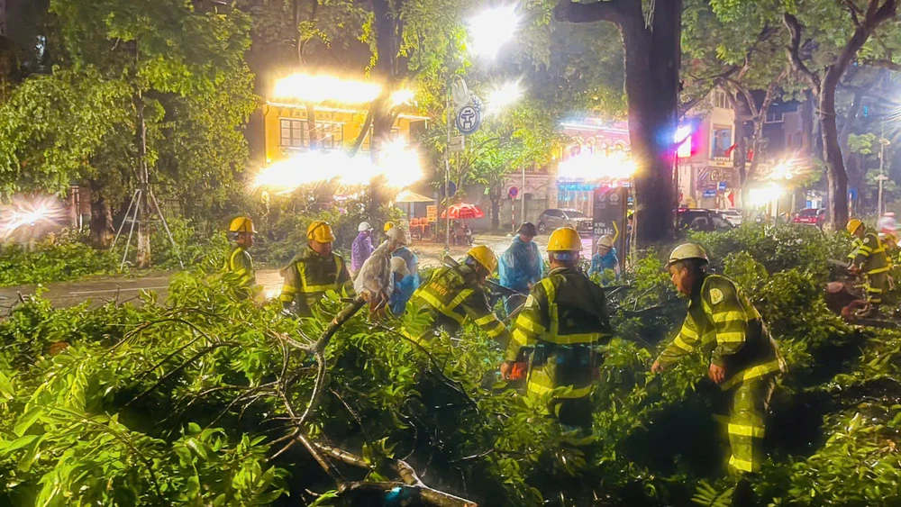 bão số 3 cây xanh Hà Nội 2.jpg