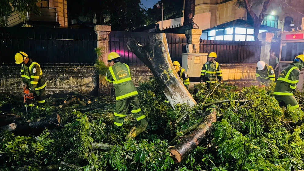 bão số 3 cây xanh hà nội 3.jpg