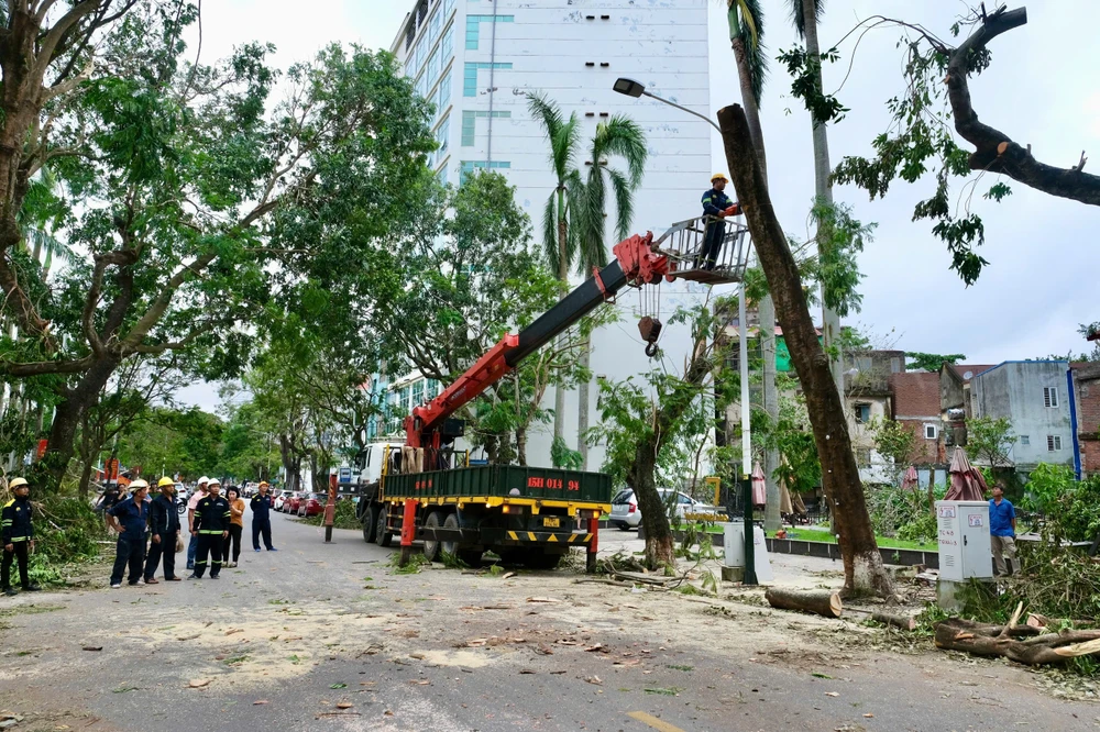 bão số 3 cây xanh hải phòng 10.jpg