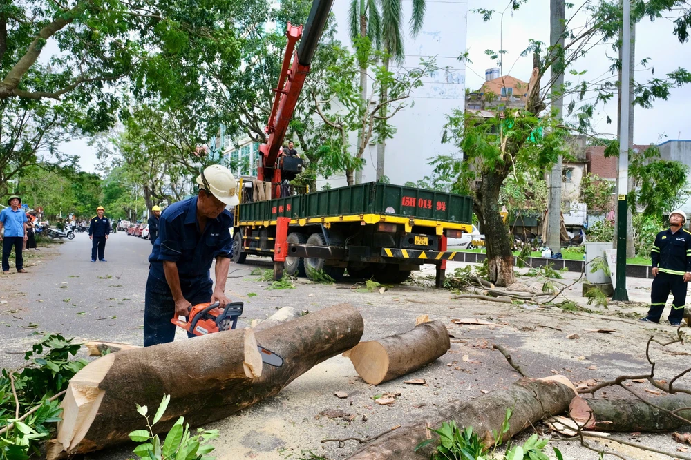 bão số 3 cây xanh hải phòng 9.jpg