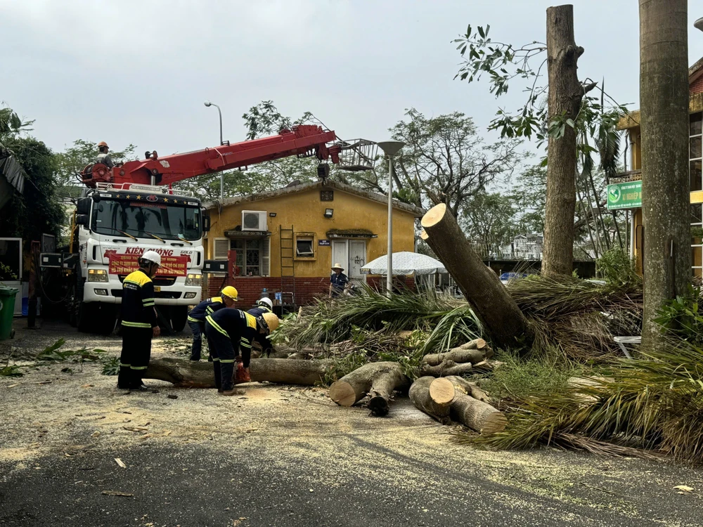 Lực lượng cây xanh TP.HCM tiếp tục hỗ trợ Hà Nội và Hải Phòng dọn dẹp cây xanh ngã