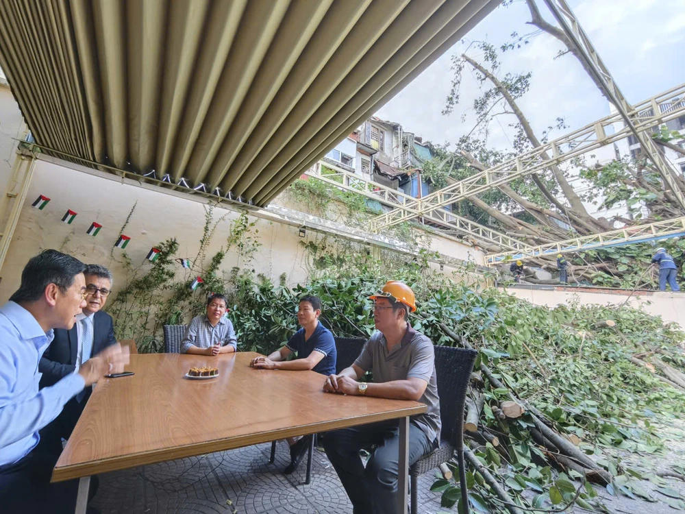 công ty cây xanh TP.HCM 2.jpg