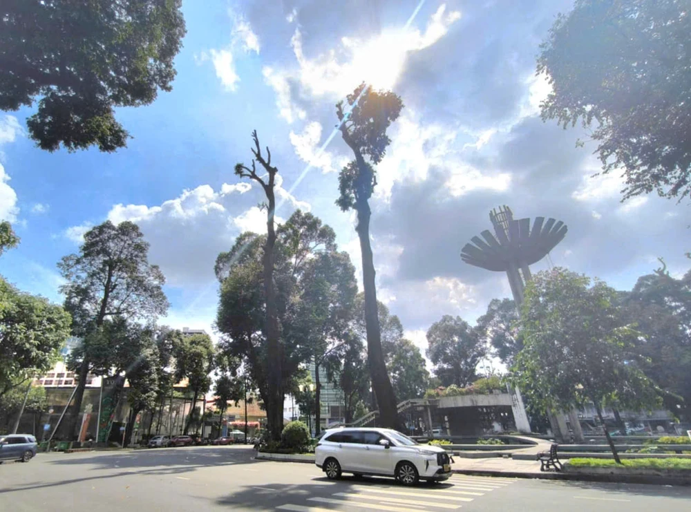 cắt trụi cây xanh hồ con rùa 5.jpg