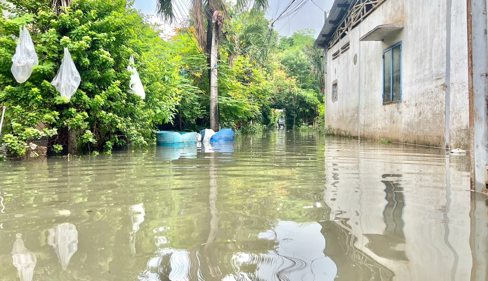 triều cường vẫn dâng cao-3.jpg