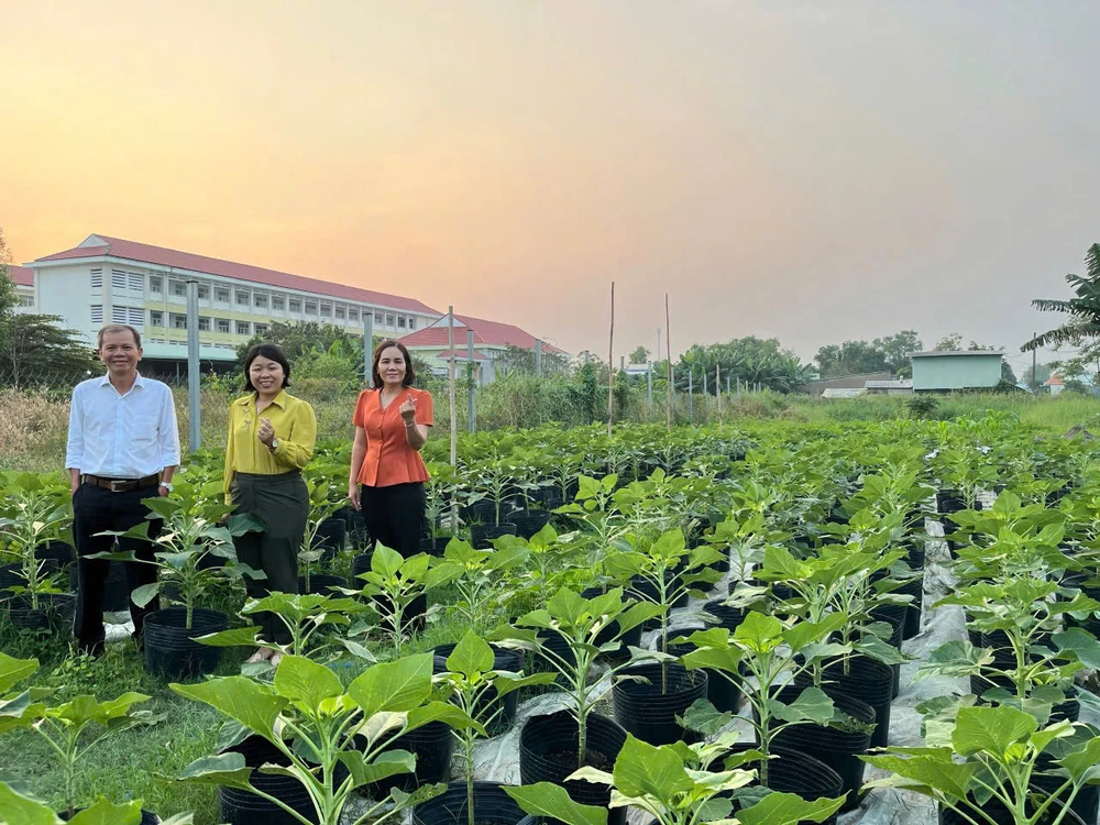 hoa hướng dương 1.jpg