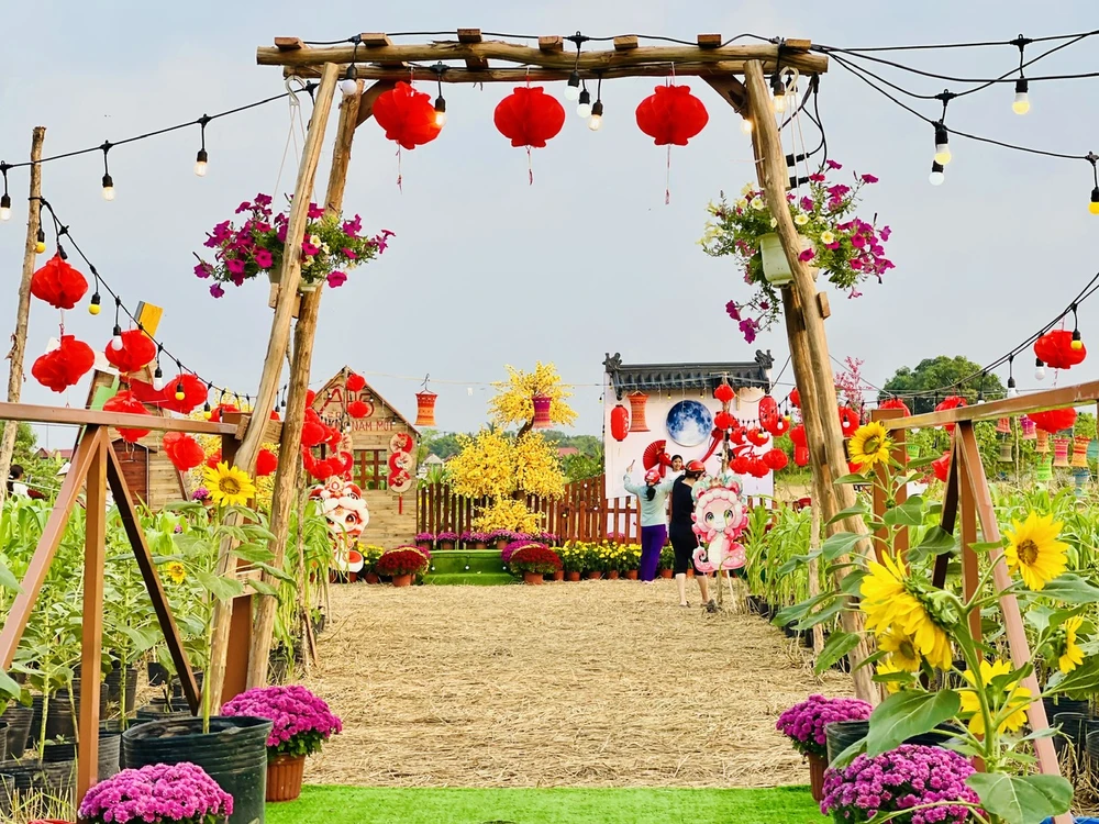 hoa hướng dương 11.jpg