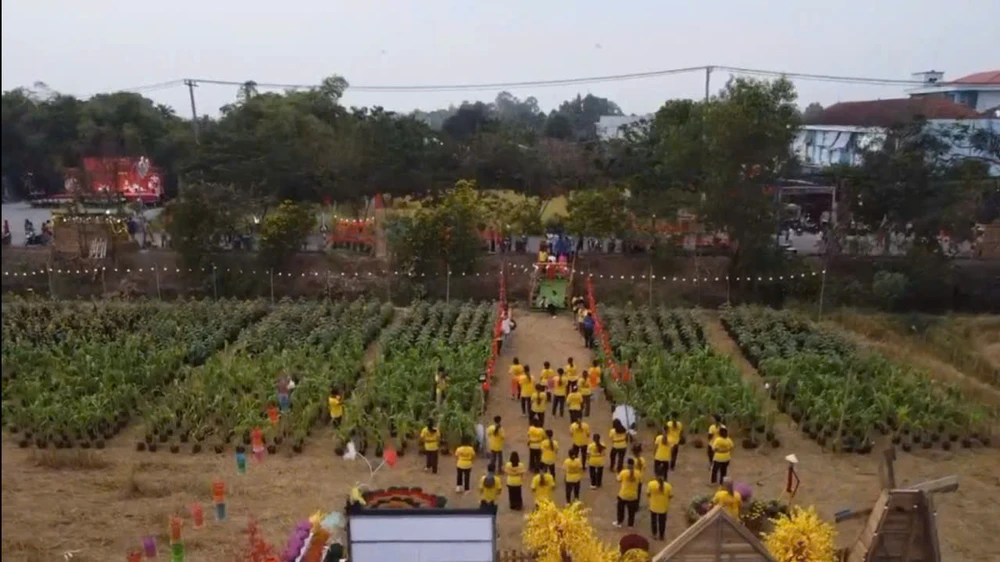 hoa hướng dương 8.jpg