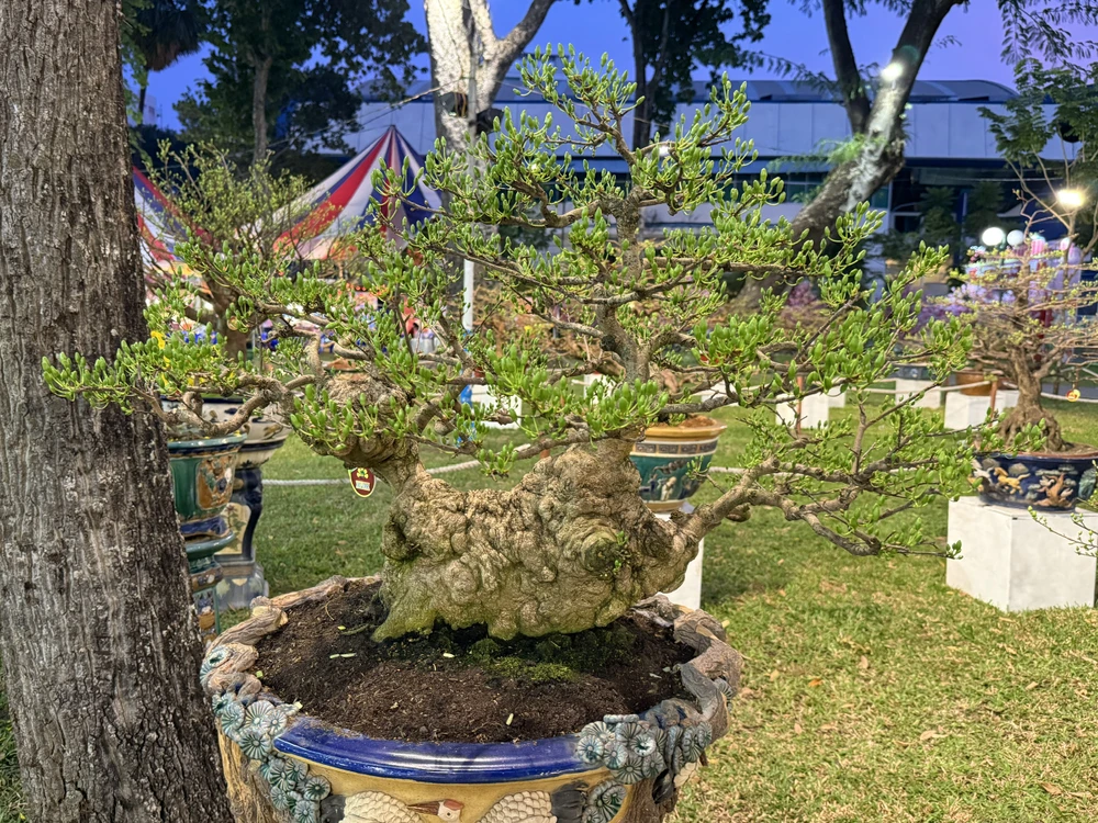 hội hoa xuân 5.jpg