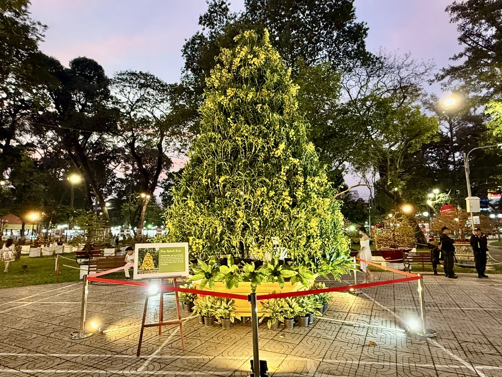 hội hoa xuân 8.jpg