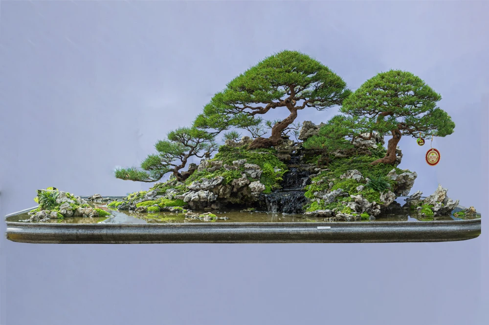 hội hoa xuân 3.jpg