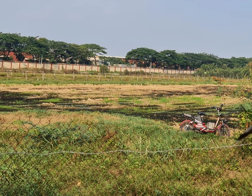 Sắp tới xâm nhập mặn sẽ ảnh hưởng đến TP.HCM và nhiều tỉnh Nam Bộ