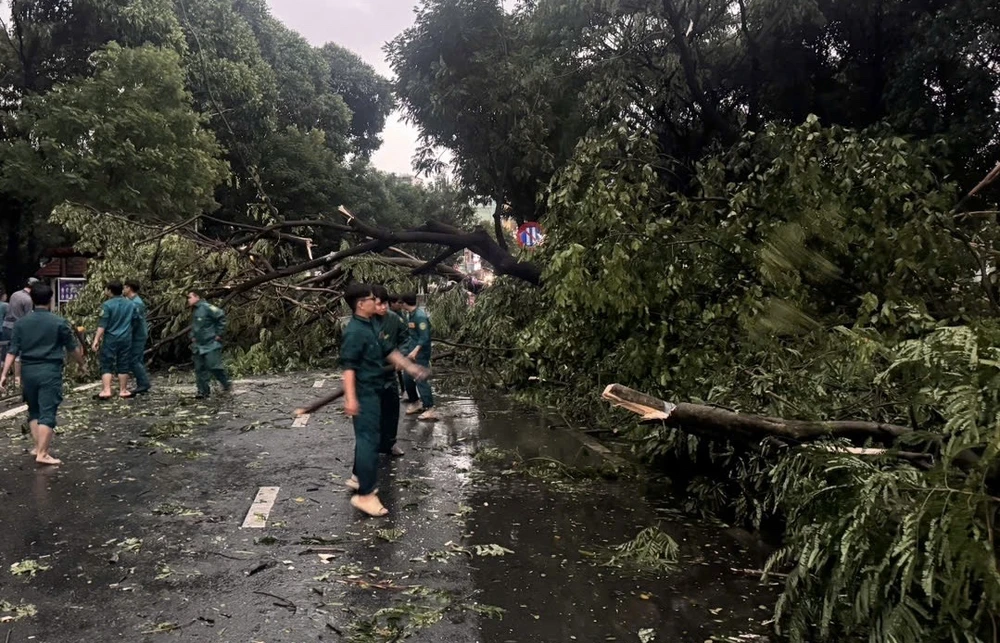 cơn mưa chiều gây đổ cây 5.jpg