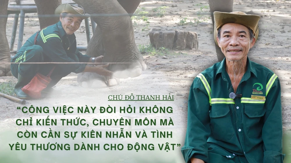 Voi làm nail, hà mã đi spa: Chuyện thật ở Thảo Cầm Viên